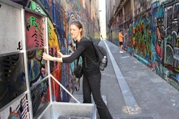 Scene Capture Integration Vehicle 1.10