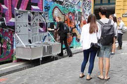 Scene Capture Integration Vehicle 1.19