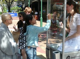 Surveillance with Public Intent Vehicle 1.15