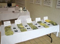 Surveillance with Public Intent Vehicle 1.66